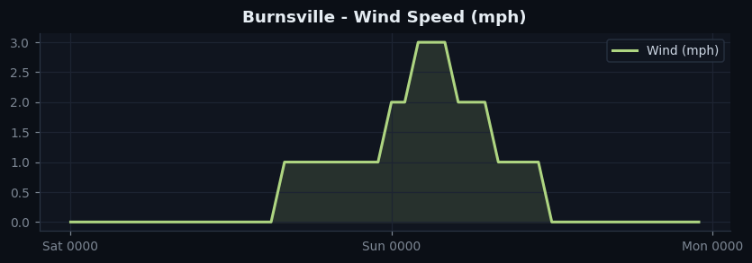Burnsville wind