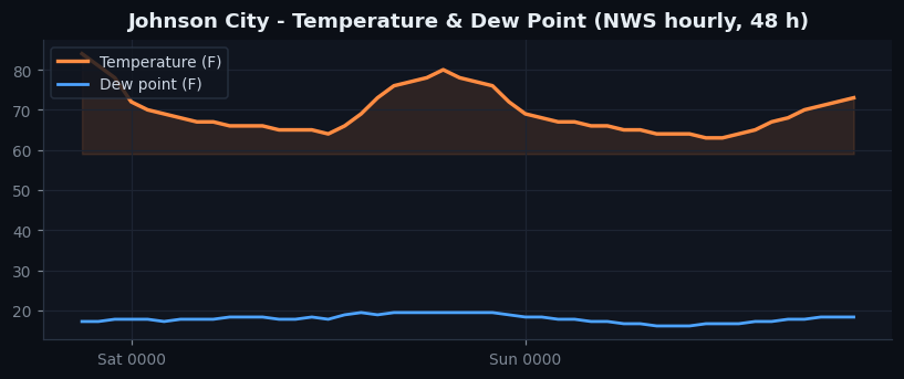 Johnson City temp